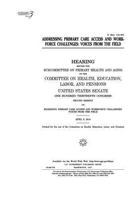 Addressing primary care access and workforce ch... 1975832442 Book Cover