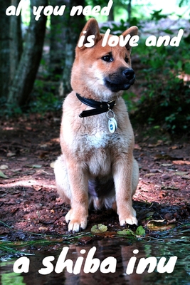 all you need is love and a shiba inu: journal for writing,college ruled size 6x9 inches,120 pages with pretty matte cover,perfect gift for any dog lover.