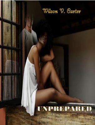 Lingering Doubts 0985091002 Book Cover