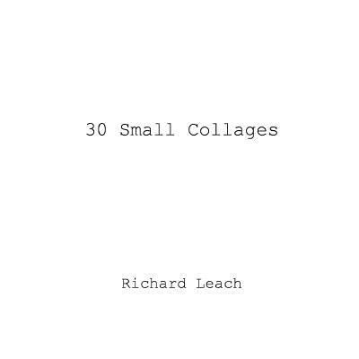 30 Small Collages 1387782789 Book Cover