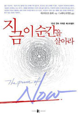 The Power of Now (Korean Edition) (Korean) [Chinese] B006ZCQD3A Book Cover