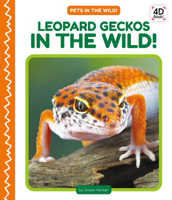 Leopard Geckos in the Wild! 1098246152 Book Cover