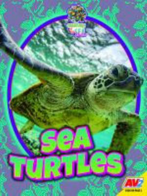 Sea Turtles 1791138241 Book Cover