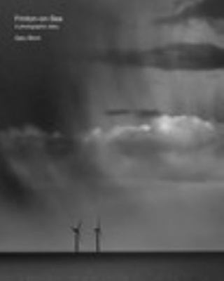 Paperback Finton in Black and White 2021 Book