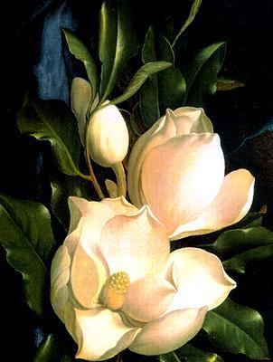 Martin Johnson Heade 0300081693 Book Cover