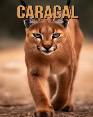 Caracal: Learn About Caracal and Enjoy Amazing ...            Book Cover