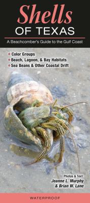 Shells of Texas: A Beachcomber's Guide to the G... 1936913216 Book Cover