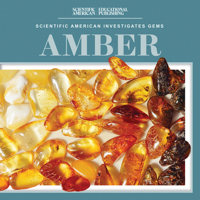 Amber 1538313731 Book Cover
