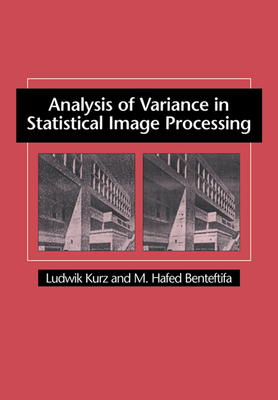 Analysis of Variance in Statistical Image Proce... 0521031966 Book Cover