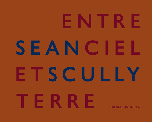 Sean Scully: Entre Ciel Et Terre 2910055973 Book Cover