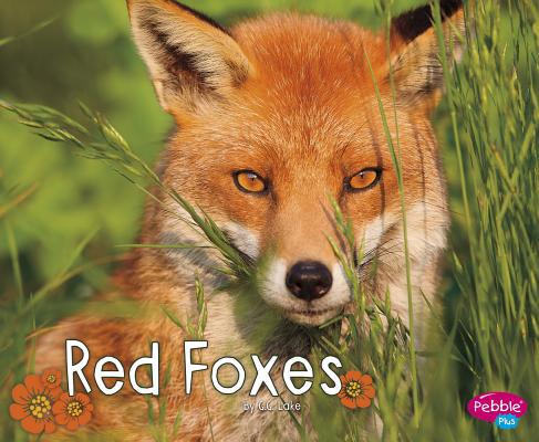 Red Foxes 1515708225 Book Cover