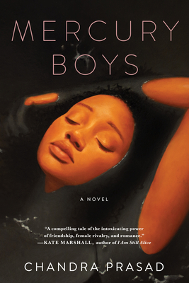 Mercury Boys 164129387X Book Cover