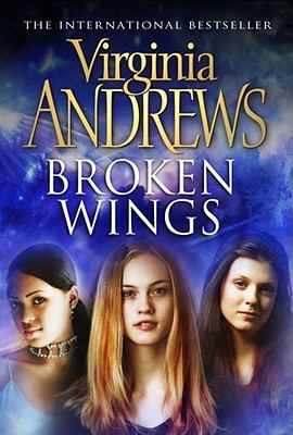 Broken Wings 0743484037 Book Cover