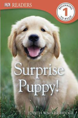 DK Readers L1: Surprise Puppy 0756692946 Book Cover