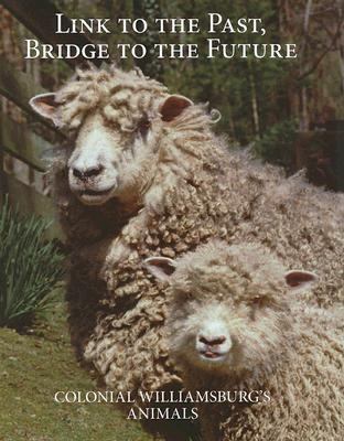 Link to the Past, Bridge to the Future: Colonia... 0879351934 Book Cover