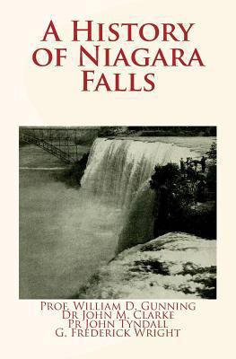 A History of Niagara Falls 153014292X Book Cover