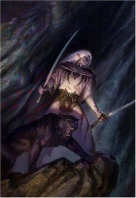 Forgotten Realms: The Legend of Drizzt: Homelan... 1932796800 Book Cover