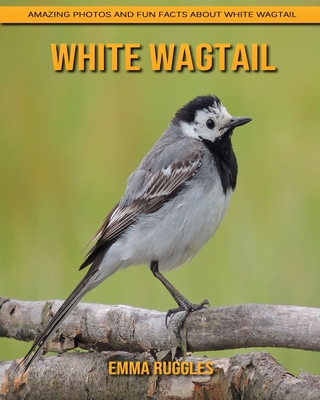 Paperback White Wagtail: Amazing Photos and Fun Facts about White Wagtail [Large Print] Book