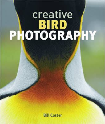 Creative Bird Photography 1780094477 Book Cover