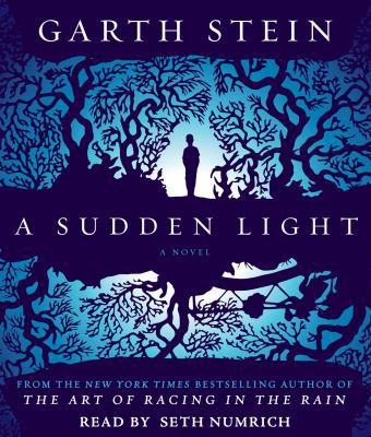 A Sudden Light 1442353236 Book Cover