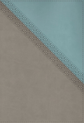 NIV Application Bible, Leathersoft, Teal/Grey, ... 0310467713 Book Cover