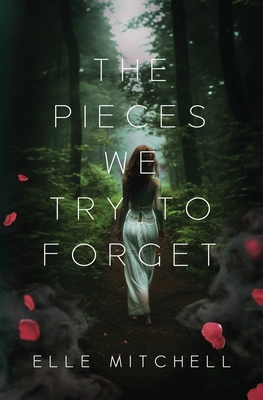 The Pieces We Try to Forget B0CWV97LXB Book Cover