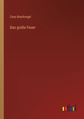 Das große Feuer [German] 3368446703 Book Cover
