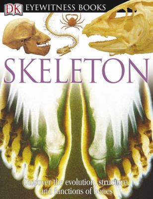 Skeleton: Discover the Evolution, Atructure, an... 0756607264 Book Cover