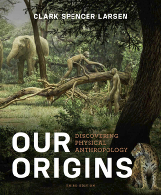 Our Origins: Discovering Physical Anthropology ... 0393921433 Book Cover