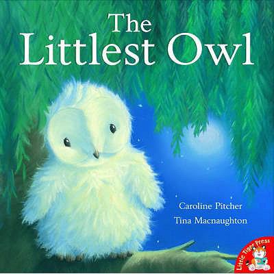 The Littlest Owl 1845066227 Book Cover