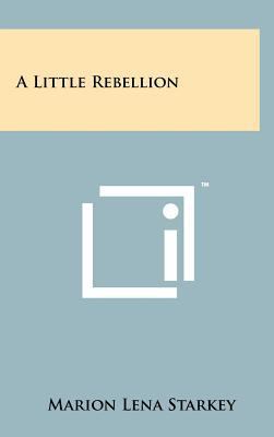 A Little Rebellion 1258063239 Book Cover
