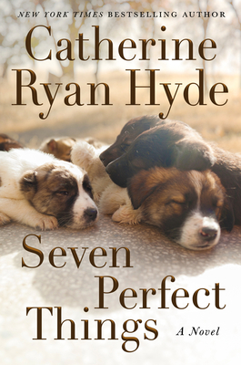 Seven Perfect Things 154202773X Book Cover
