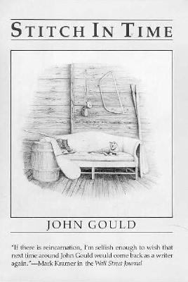 Stitch in Time 0393019764 Book Cover