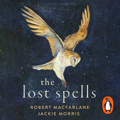 The Lost Spells: An enchanting, beautiful book ... 0241481023 Book Cover