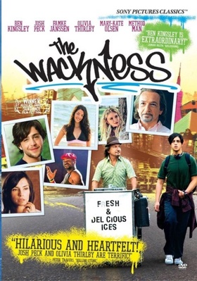The Wackness            Book Cover