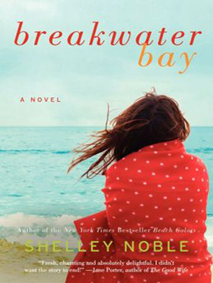 Breakwater Bay 1494507927 Book Cover