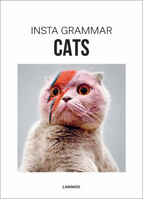 Insta Grammar: Cats 9401436959 Book Cover