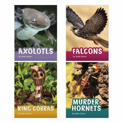 Hardcover Animals Book