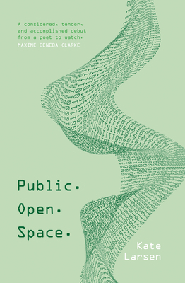 Public. Open. Space 176099216X Book Cover