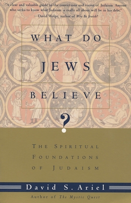 What Do Jews Believe?: The Spiritual Foundation... 0805210598 Book Cover