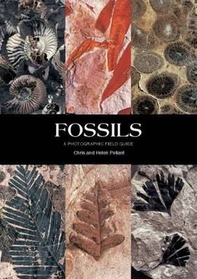 Fossils: A Photographic Field Guide 1780094086 Book Cover