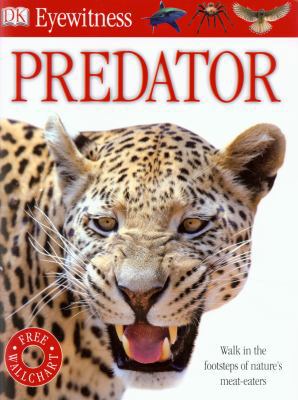 Predator. 1405365099 Book Cover
