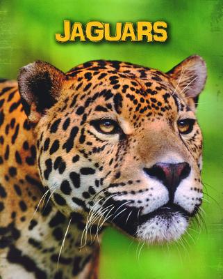 Jaguars 1432981064 Book Cover