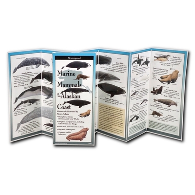 Marine Mammals Alaska 1621262766 Book Cover