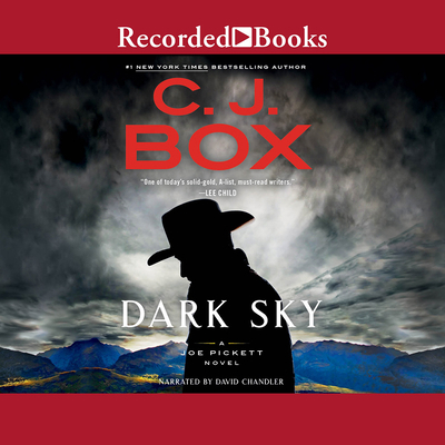 Dark Sky 1705006728 Book Cover