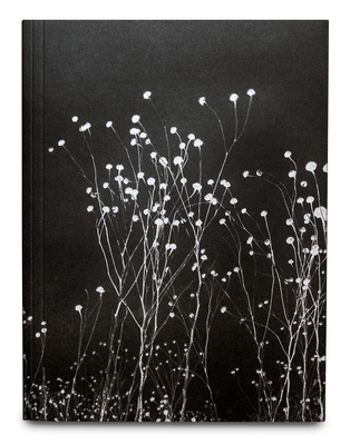 The Uncanny 1910401722 Book Cover