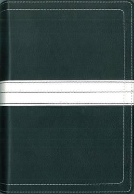 07 Spring Promo Gift Bible 2 - Wal-Mart 0310608201 Book Cover