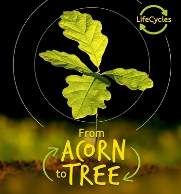 From Acorn to Tree 0711243697 Book Cover