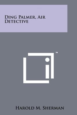 Ding Palmer, Air Detective 1258177277 Book Cover