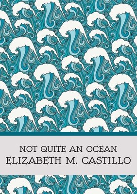 Not Quite an Ocean 1739151747 Book Cover